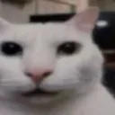 bruh_1