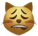 KittyKain