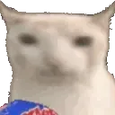 cat_eat