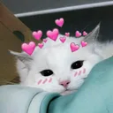 radha_meow