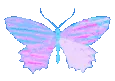 rd_ButterFly_imp