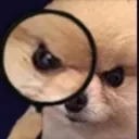 Cute_Spy