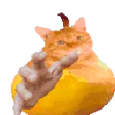 Bombom_shakegrab