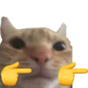 CatFingerGuns