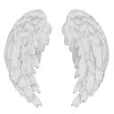ls_white5