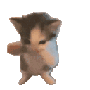 :scubaa: