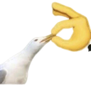 lyf_shut