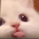 nescafe_blep