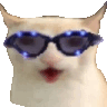 :9925catjam: