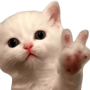 kittenpeace Discord Emoji - 𝐺𝑂𝑇𝐶/𝐸𝑚𝑜𝑗𝑖𝑠