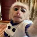 emoji_4 custom emote from 𝙈𝙆丨صـيـانـة | مـنـتـدى الـمـمـلـكـة 🛠