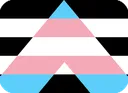 flag_transally