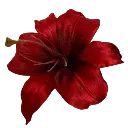 red_flower