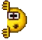 L_peek