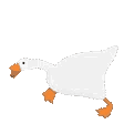 goose