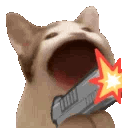 pop_cat_gun