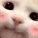 :blush:
