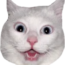 5a5a8d8d14d8c4188e0b08ef