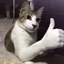 ok