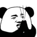 pandaPray pandaPray