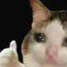 imokay