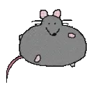 ratrun