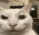 Catsmirk