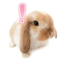 emoji_89