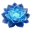 :600232flower: