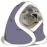 :8398snugwalrus:
