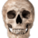 skull_real Discord sticker | BlockMench