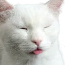 eme