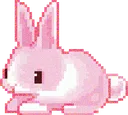 bunnypink