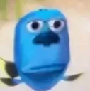 wat Discord emoji