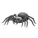 black_53362scaryspider
