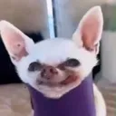 emoji_1