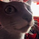 :stare: