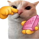 StinkyCat custom emote | Zync