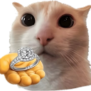 MarryMeCat Discord Emoji - Zync