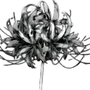 GnLycoris