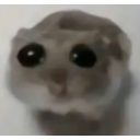 sad_hamster Discord emoji