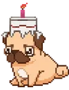 dogg