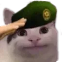 salute
