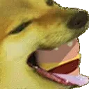 dogeburger1