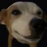 MILO