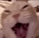 emoji_7