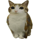 meowl