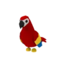 Parrot