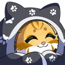 Comfy