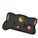 DI_b_bongocat_DNS